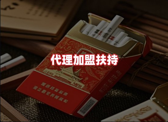 专业团队